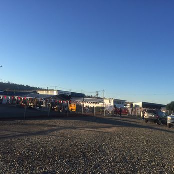 Carpinito Brothers Pumpkin Patch - Parking lot - Farmers Market Near Me - Kent, Washington