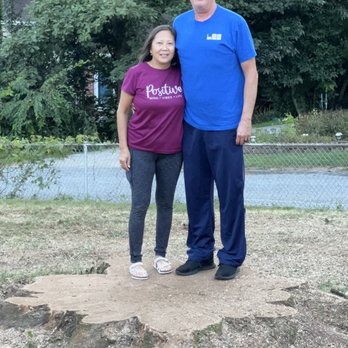 Absolute Tree Care - Tree Services Near Me - Vale, North Carolina Absolute Tree Care - Tree Services Near Me - Vale, North Carolina