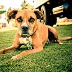 Dipple Plumbing, Electrical, Heating & Air