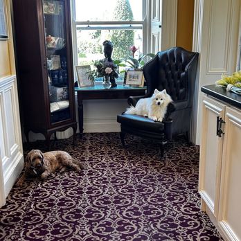 Ballyseede Castle Hotel - Fur friends - Hotels Near Me - Tralee, Kentucky Ballyseede Castle Hotel - Fur friends - Hotels Near Me - Tralee, Kentucky