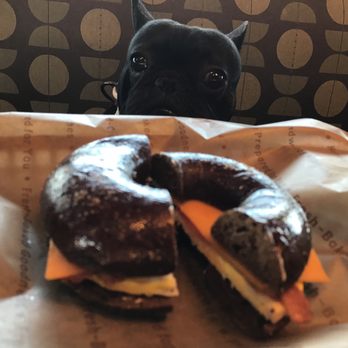 Einstein Bros. Bagels - Bacon and cheddar on pumper nickel - Bagels Near Me - Long Beach, California
