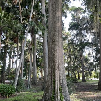Kraft Azalea Garden - Parks Near Me - Winter Park, Florida