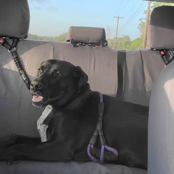 Ridges & Paws - Pet Boarding Near Me - San Antonio, Texas Ridges & Paws - Pet Boarding Near Me - San Antonio, Texas