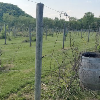 Vino In the Valley - American Near Me - Maiden Rock, Wisconsin Vino In the Valley - American Near Me - Maiden Rock, Wisconsin