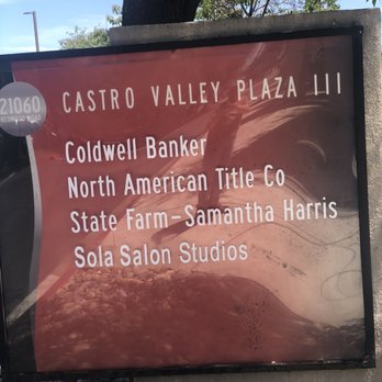 Castro Valley Plaza III - Signage in back - Shared Office Spaces Near Me - Castro Valley, California Castro Valley Plaza III - Signage in back - Shared Office Spaces Near Me - Castro Valley, California