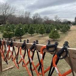Wells Christmas Tree Farm