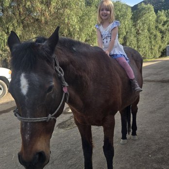 Ms Shaunas Ponies - Horseback Riding Near Me