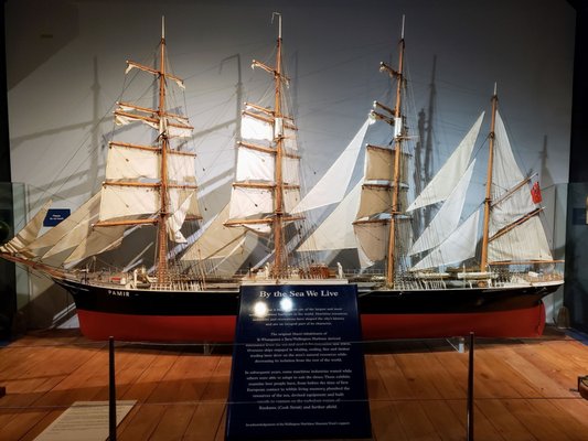 Wellington Museum by null