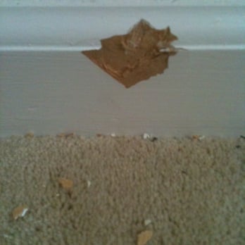 Roadrunner Glass - Damaged baseboard that the installer hid with a box. - Windows Installation Near Me - Fremont, California Roadrunner Glass - Damaged baseboard that the installer hid with a box. - Windows Installation Near Me - Fremont, California