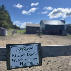 Indian Ladder Farms - Uh oh!