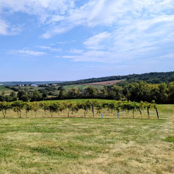 Fergedaboudit Vineyard & Winery - Wine Tasting Room Near Me - Hanover, Illinois