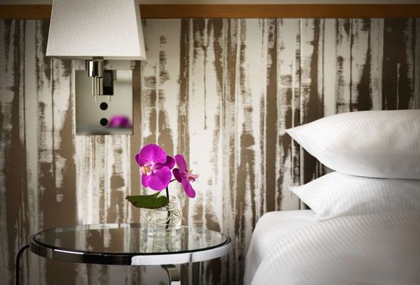 Hyatt Regency Mainz by null
