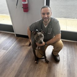 Urgent Paws: Pet Urgent Care