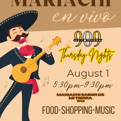 Mariachi Sabor De Mi Tierra