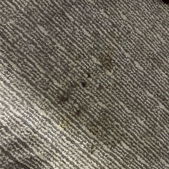 Quality Inn - Stain on floor - Hotels Near Me - Waynesburg, Pennsylvania Quality Inn - Stain on floor - Hotels Near Me - Waynesburg, Pennsylvania