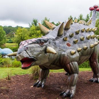 Jerrassic Park - Parks Near Me - Virginia Beach, Virginia