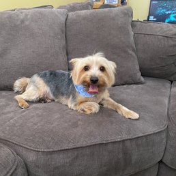 A very Happy Walter A very Happy Walter