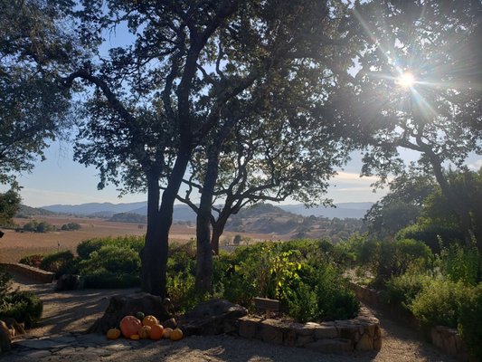 Gargiulo Vineyards by null