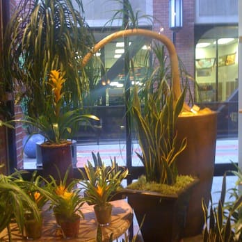 San Francisco Florist - Unusual Plant for Sale - Florists Near Me - San Francisco, California San Francisco Florist - Unusual Plant for Sale - Florists Near Me - San Francisco, California