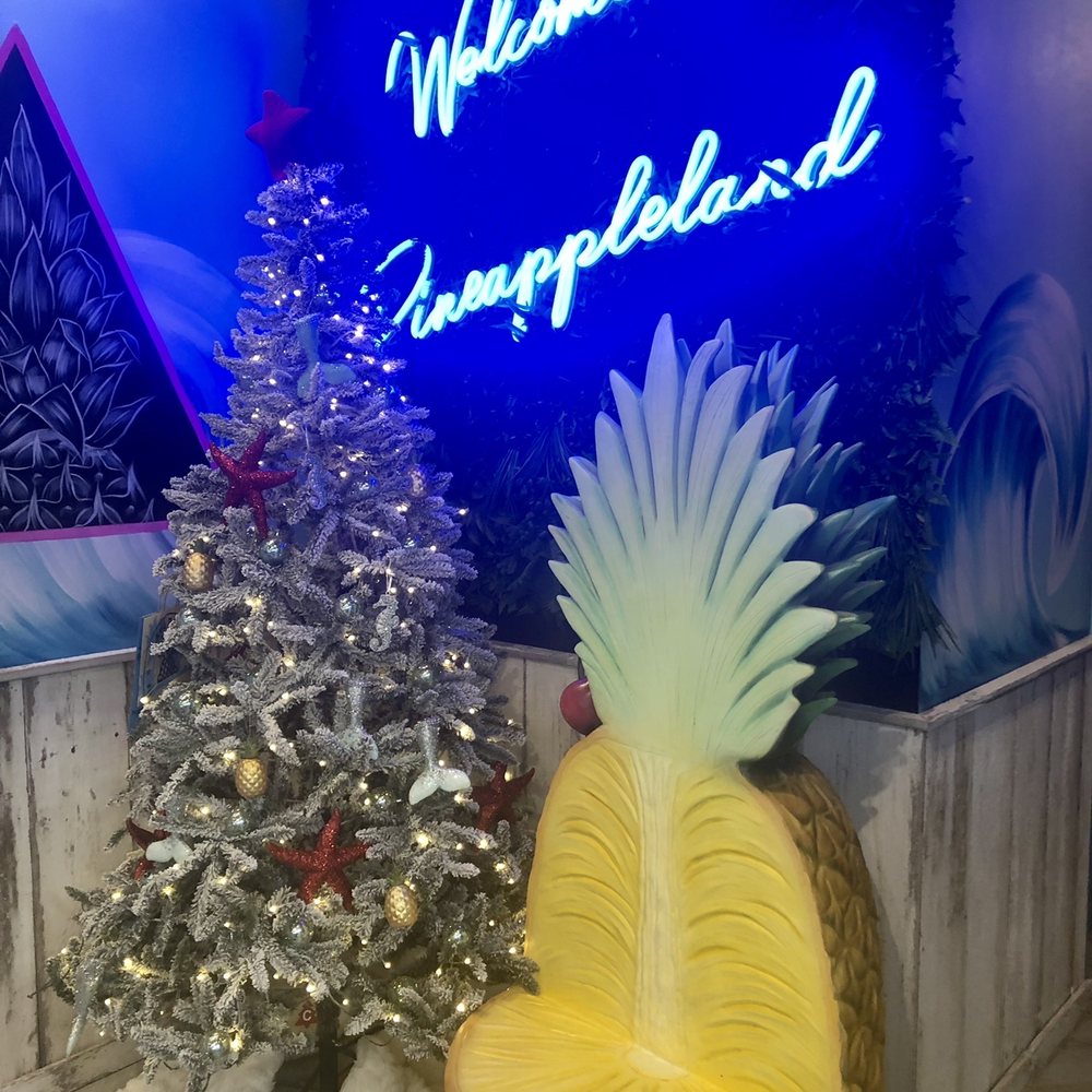 Playa Bowls - Juice Bars & Smoothies Near Me - Davie, Florida Playa Bowls - Juice Bars & Smoothies Near Me - Davie, Florida