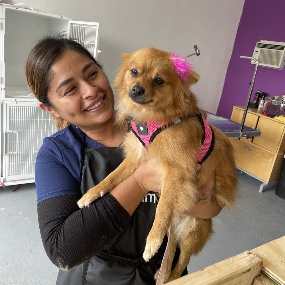 Wow Pet's Grooming - La persona encargada del lugar - Pet Groomers Near Me - Chula Vista, California Wow Pet's Grooming - La persona encargada del lugar - Pet Groomers Near Me - Chula Vista, California