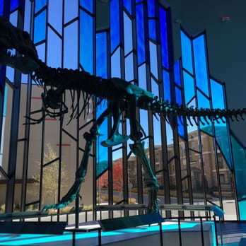 Museum at PrairieFire - The T-Rex inside the Great Hall at the Museum at Prairiefire. The Great Hall is free, although the exhibits are very limited. - Museums Near Me - Overland Park, Kansas Museum at PrairieFire - The T-Rex inside the Great Hall at the Museum at Prairiefire. The Great Hall is free, although the exhibits are very limited. - Museums Near Me - Overland Park, Kansas