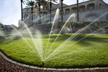 Slide of Bio Turf Lawn and Irrigation