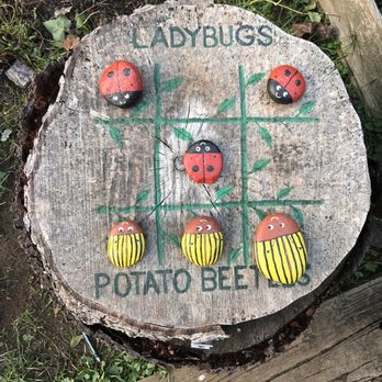 Deep Cut Gardens - Ladybugs vs beetles tic tac o! - Botanical Gardens Near Me - Middletown, New Jersey