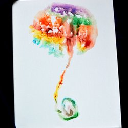 Blissful Birth Doula Services & Placenta Encapsulation - Rainbow placenta print on canvas~