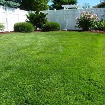 Clear Cut Grass - Lawn Services Near Me Clear Cut Grass - Lawn Services Near Me