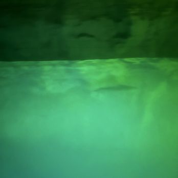 The Gorge Underground - Rafting/Kayaking Near Me - Pine Ridge, Kentucky