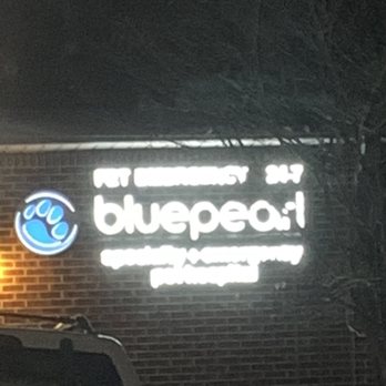 BluePearl Pet Hospital - Checking in my dog Bamboo. Let's see. - Veterinarians Near Me - Cary, North Carolina BluePearl Pet Hospital - Checking in my dog Bamboo. Let's see. - Veterinarians Near Me - Cary, North Carolina