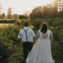 Couple walking through our rows of blueberry bushes
