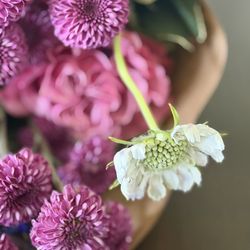Vine Garden & Gift