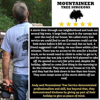 Mountaineer Tree Surgeons - Customer satisfaction guaranteed! - Tree Services Near Me Mountaineer Tree Surgeons - Customer satisfaction guaranteed! - Tree Services Near Me