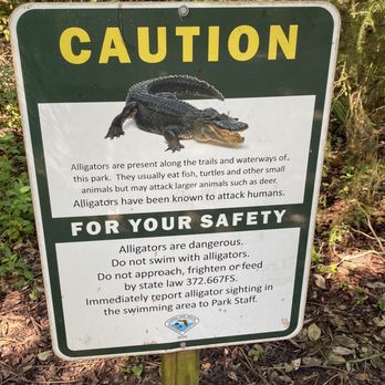 Rainbow Springs State Park - They don't usually eat people - Parks Near Me - Dunnellon, Florida Rainbow Springs State Park - They don't usually eat people - Parks Near Me - Dunnellon, Florida