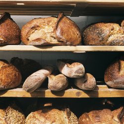 Daily Bread
