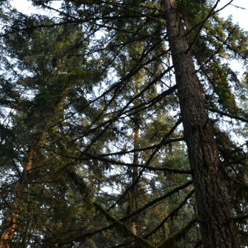 William L. Finley Wildlife Refuge - Mill Hill loop, 12/2/18 - Parks Near Me - Monroe, Oregon William L. Finley Wildlife Refuge - Mill Hill loop, 12/2/18 - Parks Near Me - Monroe, Oregon