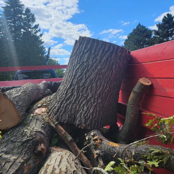 S&C Services - a pile of tree trunks in the back of a truck - Junk Removal & Hauling Near Me S&C Services - a pile of tree trunks in the back of a truck - Junk Removal & Hauling Near Me