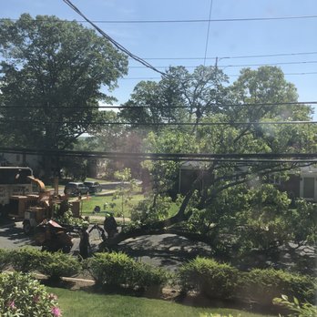 A and H Tree Service - Tree Services Near Me