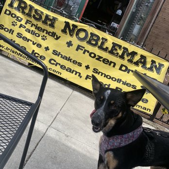The Irish Nobleman - Leia approved - Irish Pub Near Me - Chicago, Illinois The Irish Nobleman - Leia approved - Irish Pub Near Me - Chicago, Illinois