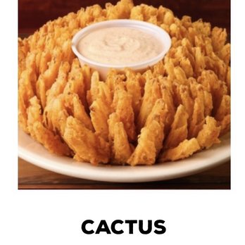 Texas Roadhouse - Cactus Blossom- - Barbeque Near Me - Oklahoma City, Oklahoma Texas Roadhouse - Cactus Blossom- - Barbeque Near Me - Oklahoma City, Oklahoma