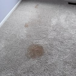 Oxi Fresh Carpet Cleaning
