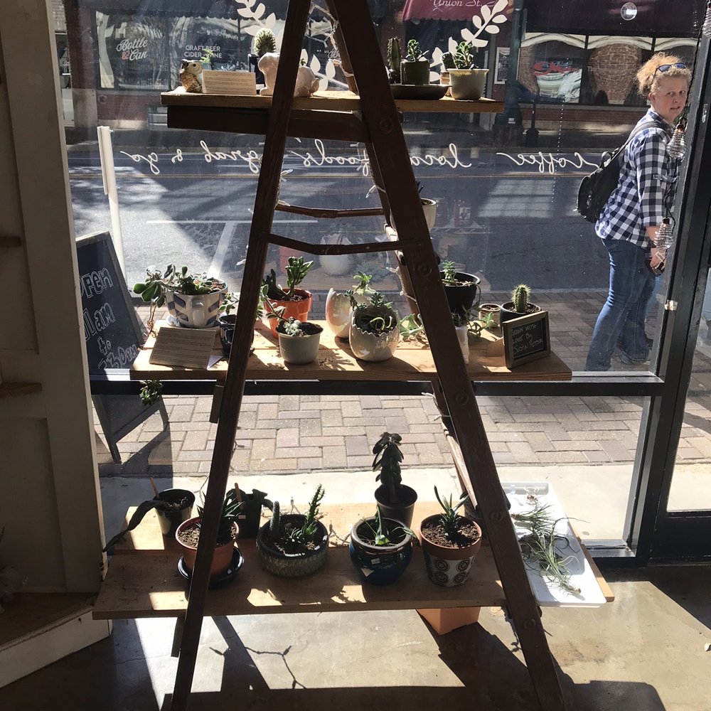 Union Street Market - Cute succulents - Specialty Food Near Me - Concord, North Carolina Union Street Market - Cute succulents - Specialty Food Near Me - Concord, North Carolina