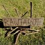 Photo of Raw Tarot