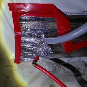 Shield Pest Solutions - Pest Control Near Me