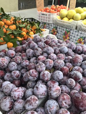 Campbell Farmer's Market by null