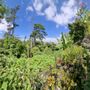Roger's Garden Centre