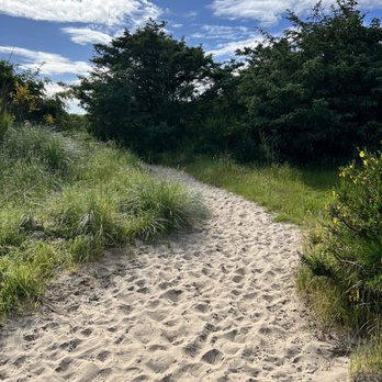 Bayocean Peninsula Park - Bayocean- the path from the beach. - Parks Near Me - Tillamook, Oregon Bayocean Peninsula Park - Bayocean- the path from the beach. - Parks Near Me - Tillamook, Oregon