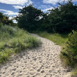 Bayocean Peninsula Park - Bayocean- the path from the beach.